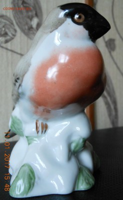 Фигурка фарфоровая "Снегирь". СССР  Чудово. - DSCN8400.JPG