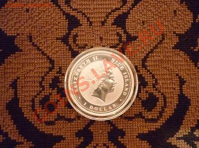 Оцените!!!! - P1000895.JPG