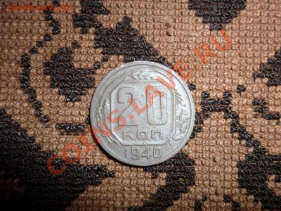 Оцените!!!! - P1000974.JPG