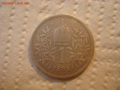 1 крона Австро-Венгрия 1895. До 22.03.17. 22-00 Мск. - DSC02271.JPG