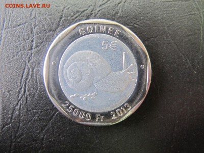 Гвинея, 25000 франков. Улитка. До 25 марта - IMG_5060.JPG