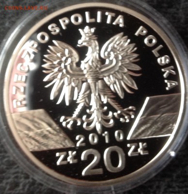 Летучая мышь Польша 20 злотый 2010 до 26.3.17 В 22.00 - IMG_8136.JPG
