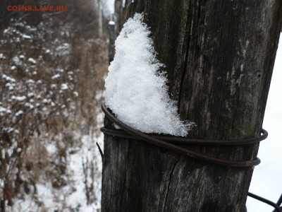 ФОТО - просто фото. Те что получились удачными. - L93QNv0hKtA