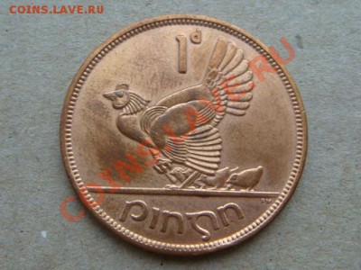 -v- Ирландия пенни 1966г.  до 8.02(21.00) - DSC00483.JPG