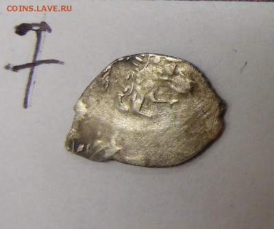14 чешуек, на оценку - P1110480.JPG