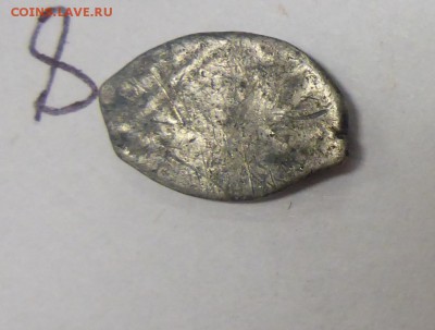 14 чешуек, на оценку - P1110481.JPG