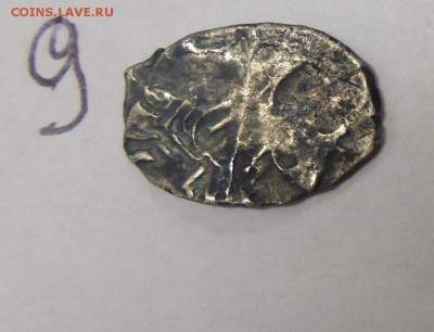 14 чешуек, на оценку - P1110482.JPG