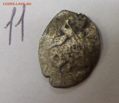 14 чешуек, на оценку - P1110484.JPG