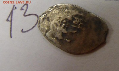 14 чешуек, на оценку - P1110486.JPG