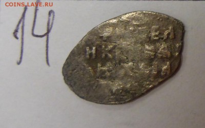 14 чешуек, на оценку - P1110501.JPG