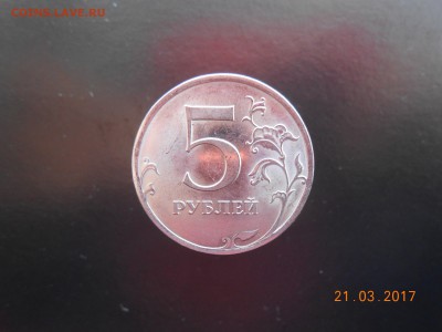 Вопросы по разновидам от Дамир_чиш - 5р 2009сп 011.JPG