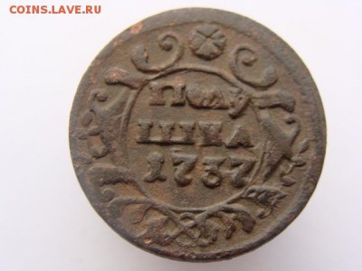 Полушки 1730-1754 годов. Галерея - 0614.JPG
