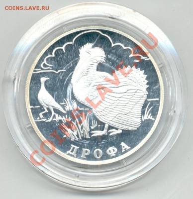 1 рубль СЕРЕБРО 2004г ДРОФА - дрофа.JPG