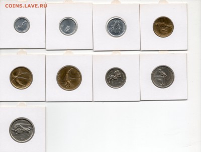 Набор Словения 9 монет 1992-03 до 23.03.17 в 22.00 М - img240