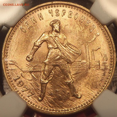 Червонец "Сеятель" 1977 слаб NGC - GEM UNC до 26.03.17-22:00 - P1010186.JPG