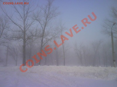 Подарки от moigala: 10р. юбилейка 2010г. - Зимний туман.JPG