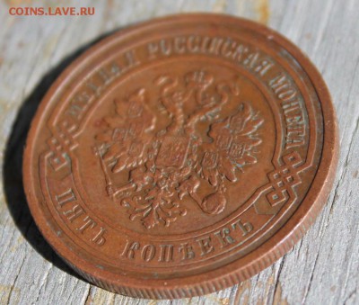 5 копеек 1911 красивая до 25.03 - IMG_2147.JPG