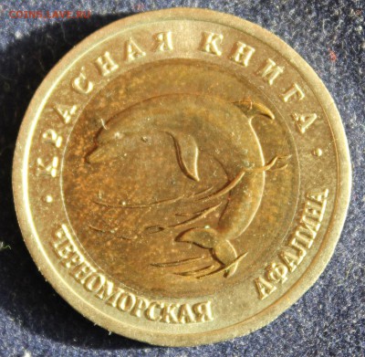 КРАСНАЯ КНИГА 50 руб.1993г. ЧЕРНОМОРСКАЯ АФАЛИНА до 28.03. - IMG_5184.JPG