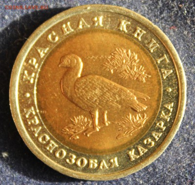 КРАСНАЯ КНИГА 10 руб.1992г. КРАСНОЗОБАЯ КАЗАРКА до 28.03. - IMG_5186.JPG