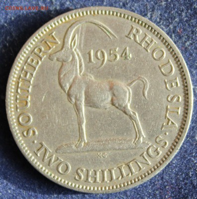ЮЖНАЯ РОДЕЗИЯ 2 шиллинга 1954г. КОЗЕЛ предпродажная оценка. - IMG_5201.JPG