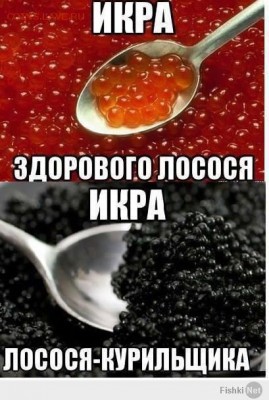 веселые картинки - 1390315603_mems-picture-6