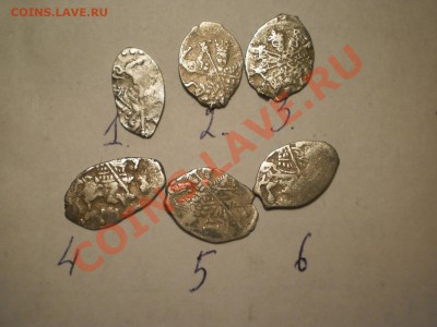 Чешуя Романовых,6 шт. до 08.02 в 21:00 Москвы - P1011171.JPG