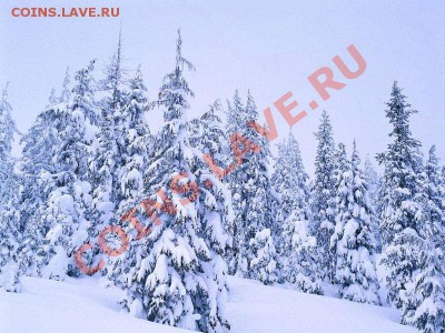 Подарки от moigala: 10р. юбилейка 2010г. - 016