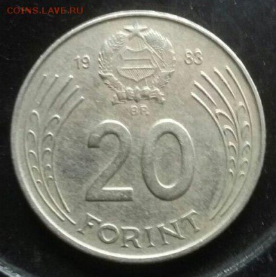 20 forint 1983 г. - опознание и оценка - 1