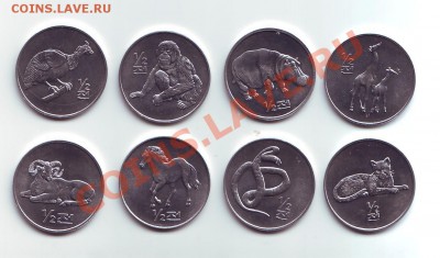 Солянка, прошу оценить - IMAGE0001.JPG