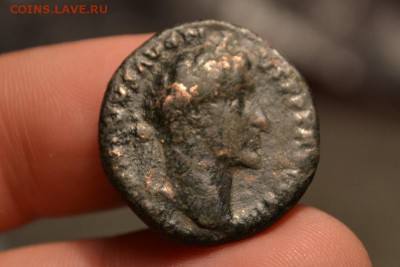 Рим.Асс.Антонин Пий 138-161 - CSC_1044.JPG