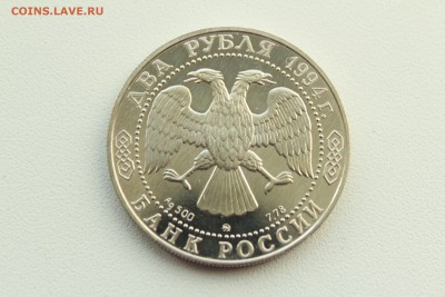 22:00 - IMG_0462.JPG