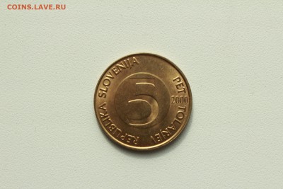  22:00 - IMG_0497.JPG