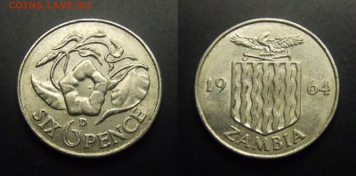 МОНЕТЫ МИРА 03-17 - Замбия – 6 пенсов (1964) «Цветы ипомея (вьюн)»