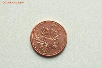  22:00 - IMG_0526.JPG
