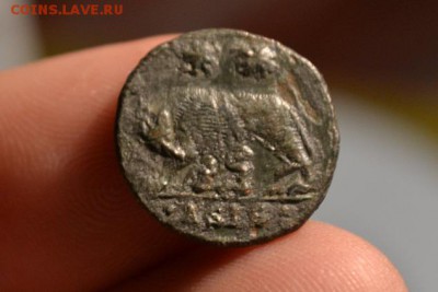 Рим.Капитолийская Волчица кормящая Ромула и Рема. - CSC_1096.JPG