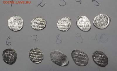 Чешуйки 11 шт. - DSCF1950.JPG