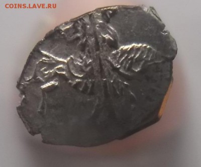 Чешуйки 11 шт. - DSCF1962.JPG