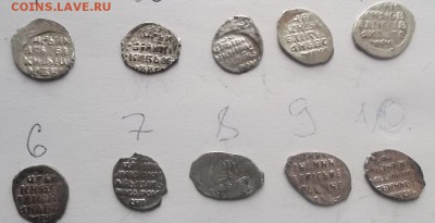 Чешуйки 11 шт. - DSCF1964.JPG
