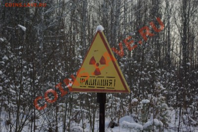Подарки от moigala: 10р. юбилейка 2010г. - SG100548.JPG