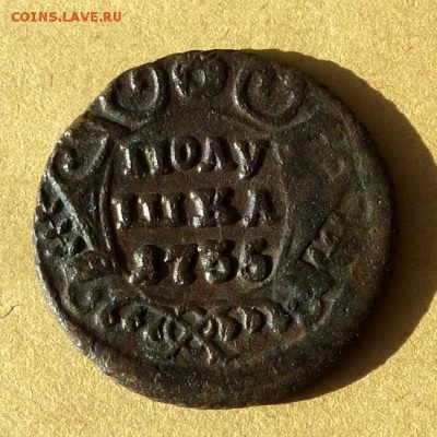 Полушка 1735г, ЖИВАЯ,  есть БЛИЦ, до 31.03.17г до 22.00 - P1100065