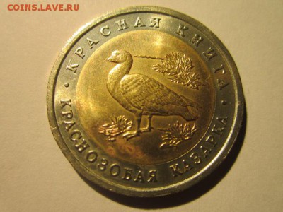 с 200 кк 1992 Казарка до 31.03.2017 в 22:30 - IMG_2845.JPG