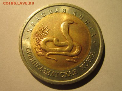 с 200 кк 1992 Кобра до 31.03.2017 в 22:30 - IMG_2847.JPG