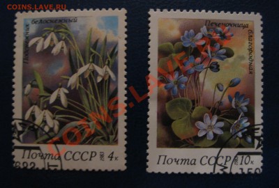 Марки СССР и зарубежные. - IMG_0850.JPG
