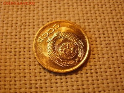 1 копейка 1978 года Мешковые! Огонь! + Бонус. до 29.03 	Сооб - P5010359.JPG