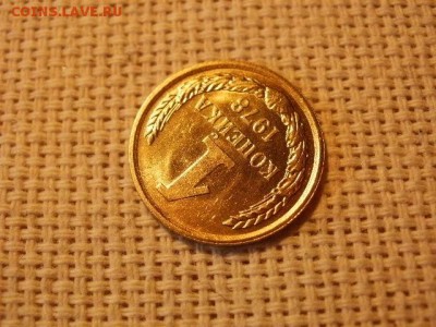 1 копейка 1978 года Мешковые! Огонь! + Бонус. до 29.03 	Сооб - P5010357.JPG