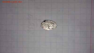 На опознание! - IMG_20170326_154421