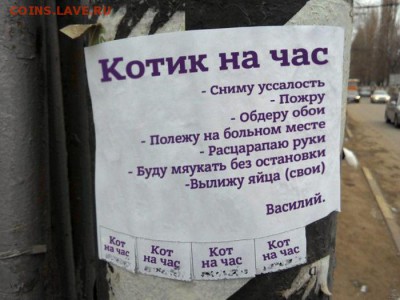 юмор - podborkd