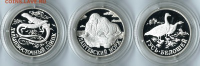 Красная книга 1998. Серебро. 3 монеты До 29.03.16 22-00 МСК. - 1998 1