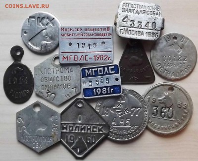 Куплю собачьи жетоны - регистрационные, налоговые, ветнадзор - DSCF3484.JPG