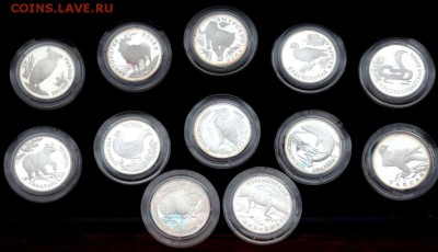 Красная книга в серебре 12 монет оценка - P3270075.JPG